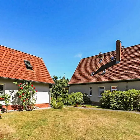 Buchfink Ostseebad Heringsdorf